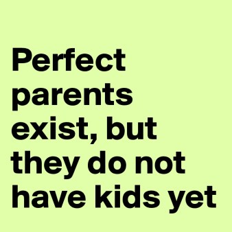 Perfect-parents-exist-but-they-do-not-have-kids-y